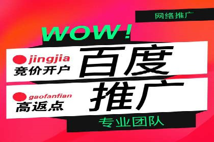 百度竞价账户托管成功案例：让广告更精准触达目标用户